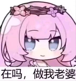 秋月爱丽表情包