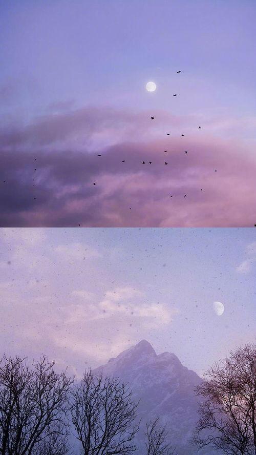 微博唯美背景,“微博唯美背景下的诗意时光”