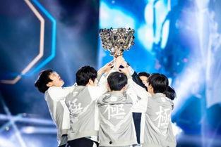 海秀娱乐将将,引领潮流的娱乐新势力