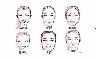 脸脸资料,揭秘社交新宠的崛起之路