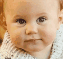 违和感网红图,视觉冲击背后的心理奥秘