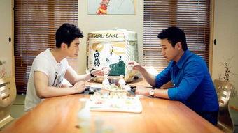 娱乐之丁凯,娱乐界的璀璨明星，闪耀舞台与荧幕